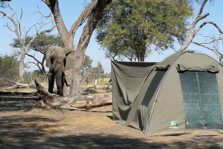 12Day WILDERNESS TRAIL: Okavango, Moremi & Chobe + Victoria Falls