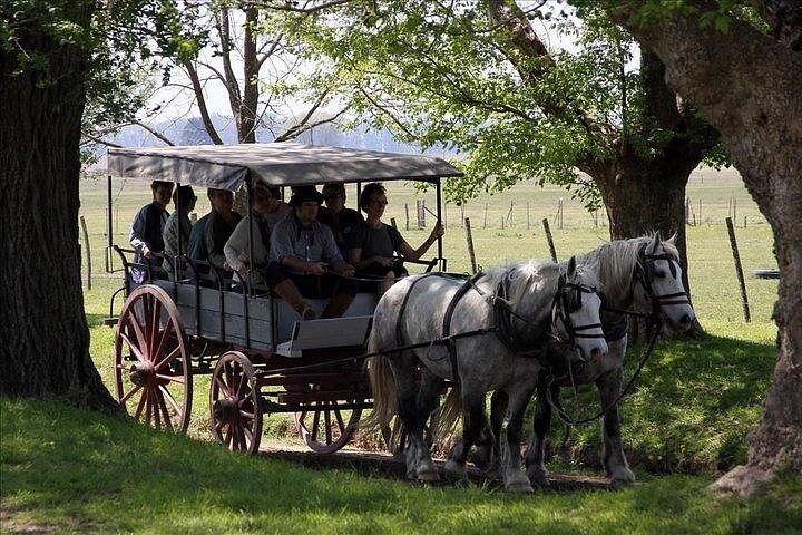 2 Days and 1 Night in Areco