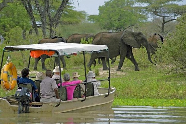 4-Days Safari From Dar es Salaam; Selous/Nyerere & Mikumi N. Park