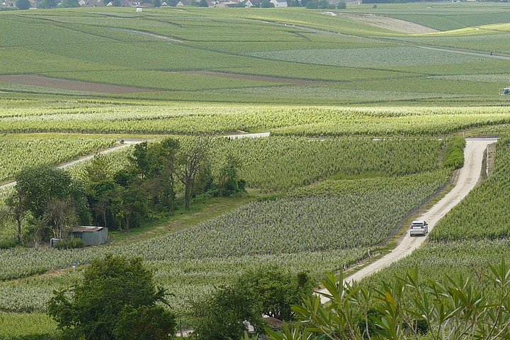 Celebrate in Champagne - Custom Planned Visits, Tastings & Lunch