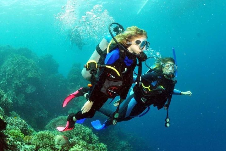 SSI | Padi Open Water Course in Phuket