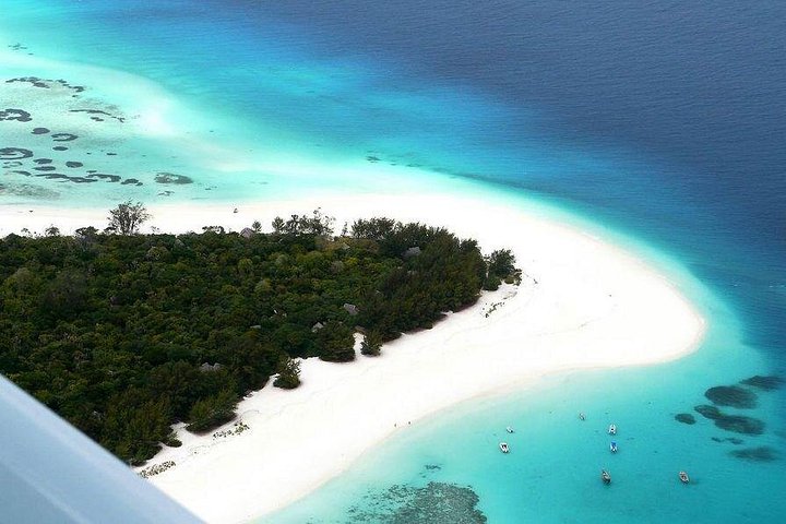 Mnemba Island Snorkeling Dolphin Tour and The Rock Restaurant