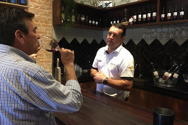 São Roque Wineries Route from São Paulo