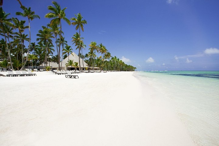 Live Aqua Beach Resort Punta Cana - Round Trip Shuttle - Punta Cana Airport