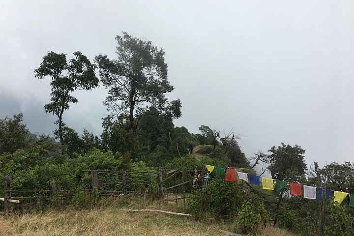 Australian Camp Easy Hiking from Kathmandu