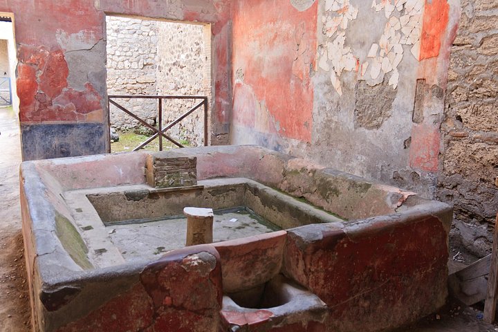 Discover hidden secrets of Pompei on a Private tour with a local