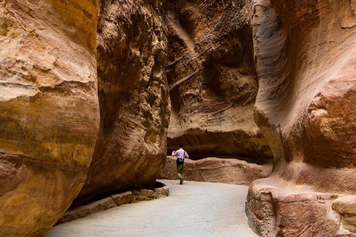 Private guided Petra city discovering tour;Solo;Small Group
