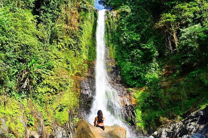 Private guided puncak day tour;Solo;Small Group