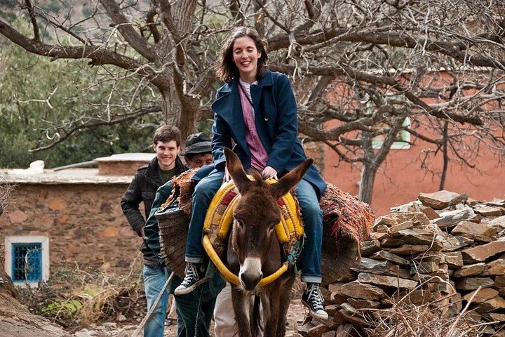 Atlas Mountains and mule Ride Day Tour From Marrakech
