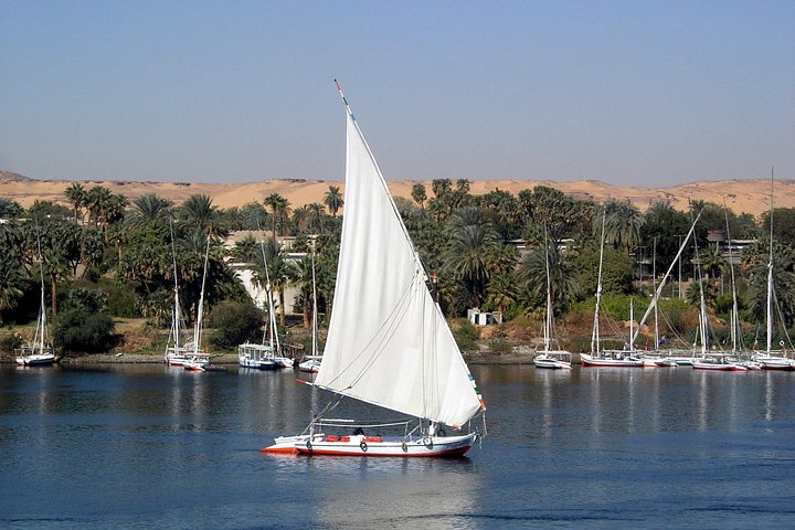 Visit to Edfu temple by train and Luxor west bank, lunch and Felucca