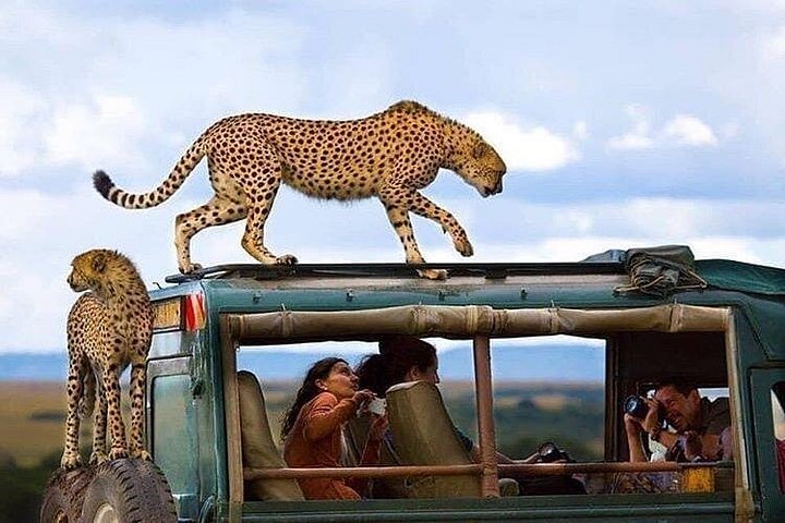 7 Day Lodge Safari Tanzania