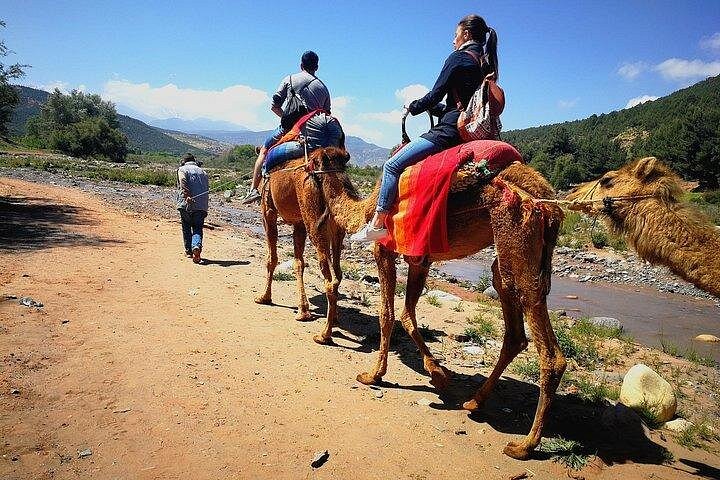Atlas Mountians and Three valleys guieded Day Trip Including Lunch