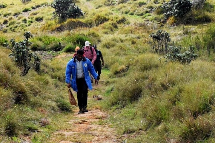Railroad Hike to Horton Plains Borders