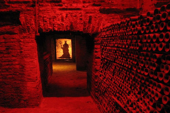 Premium Concha y Toro Vineyard Tour