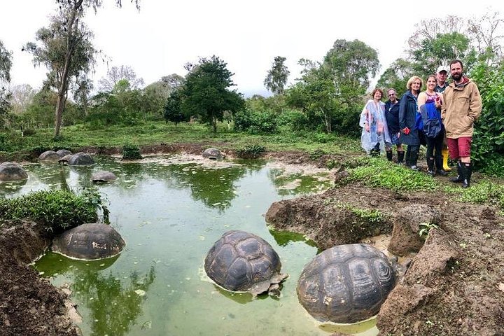 The Galapagos Giant Tortoise Experience + Los Gemelos | Private
