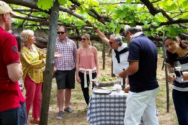 Tenuta San Francesco Wine Tasting