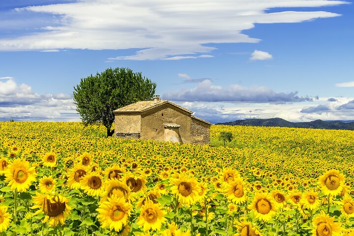 Van Gogh's Provence & Les-Baux-de-Provence - Afternoon Tour