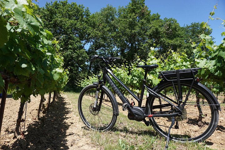 Full day E-Bike rental in the Luberon