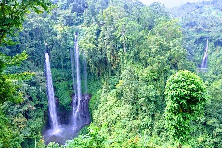 Tour privato Esplora la meravigliosa cascata di Sekumpul