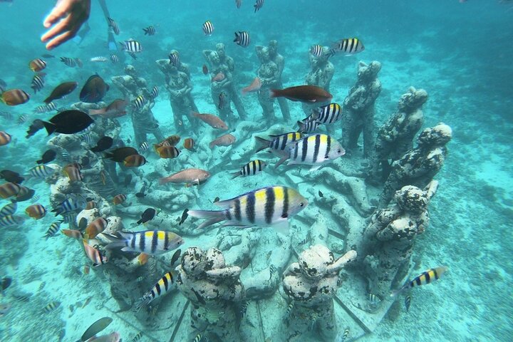 Gili Trawangan,Gili Meno& Gili Air Island:Snorkeling Day Trip Depart from Lombok