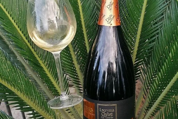 Tour Ercolano Excavations, Lunch and Wine Tasting from Sorrento