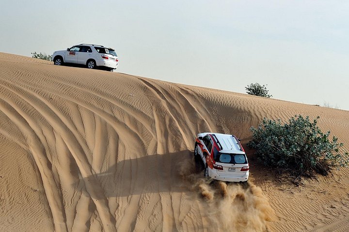 Full-Day Safari Small Desert With Lunch