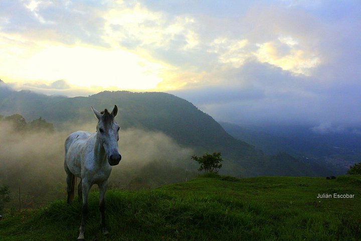 Horse riding tour