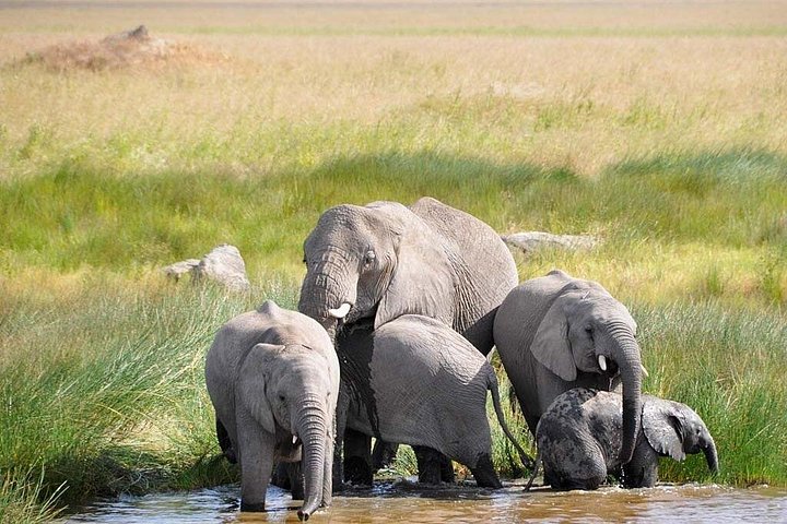 3-Day Serengeti Luxury Safari (+ Free Unlimited SIM)