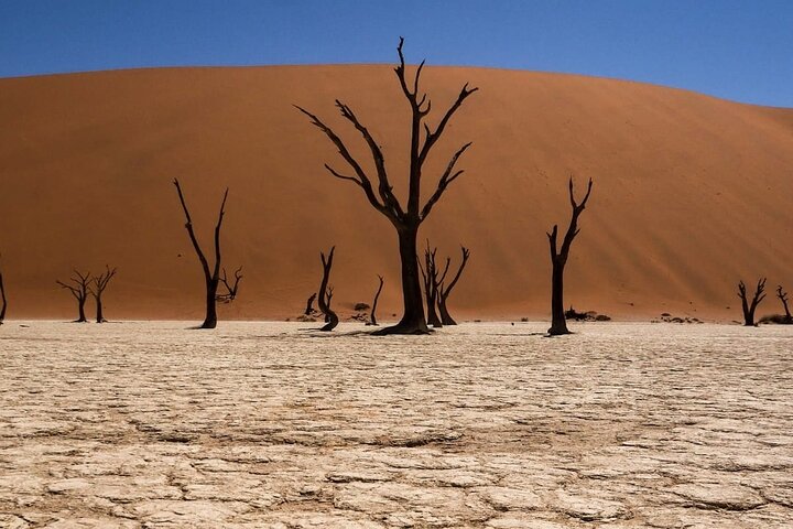 2 Day Scenic Sossusvlei Adventure Tour in Namibia