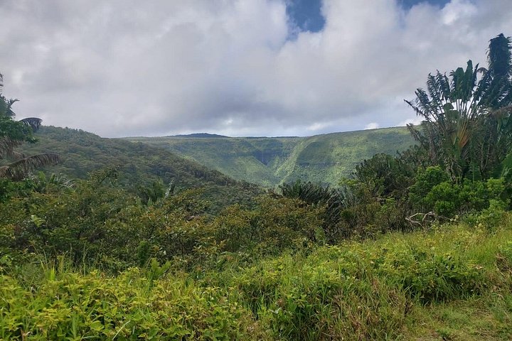 Private Hiking Experience in Black River Gorges National Park