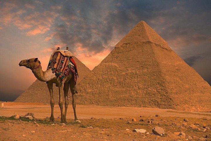 5 days 4 nights tour of the best of Cairo and Alexandria