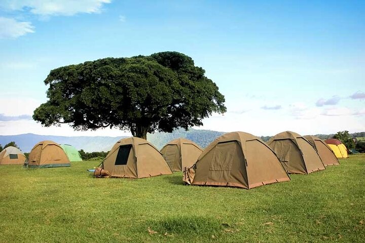 4-Day Budget Tarangire, Serengeti, Ngorongoro Safari Guided Tour