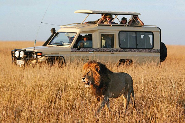 10 Days-Tanzania Group Safari and Beach Tours