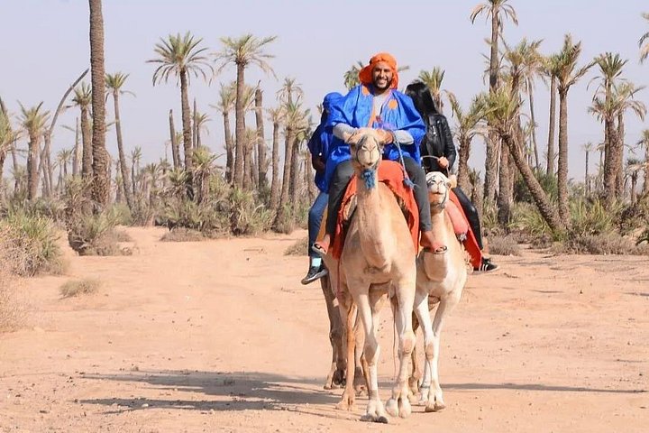 Camel ride in the palm grove of Marrakech