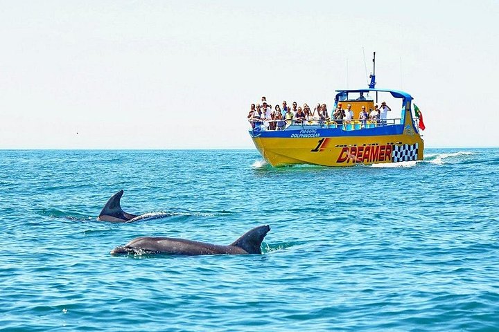 Algarve Dreamer Cave and Dolphins Boat Tour from Albufeira