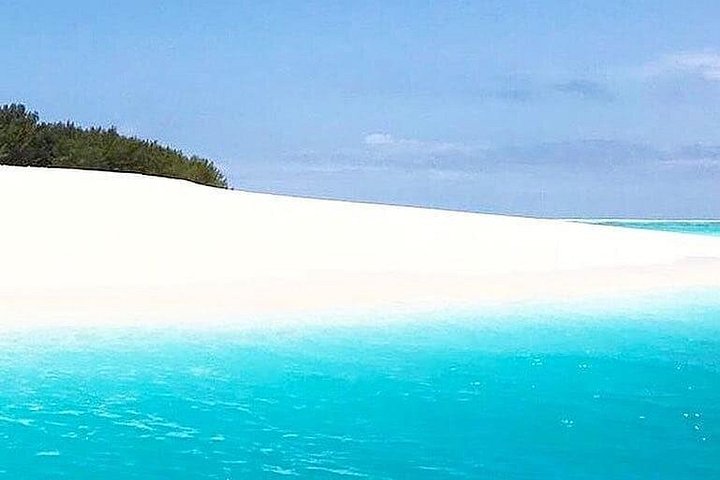 Mnemba Dolphin Tour; Stone Town Tour; Spice Tour with Lunch