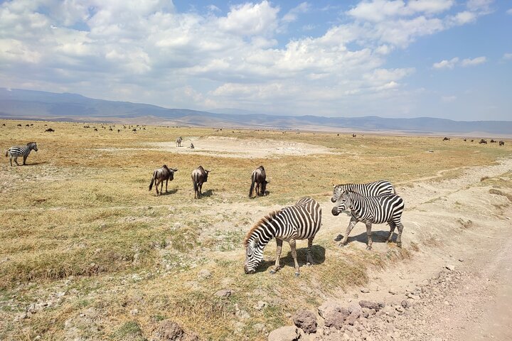 Safaris 4 days Serengeti, Ngorongoro & Tarangire