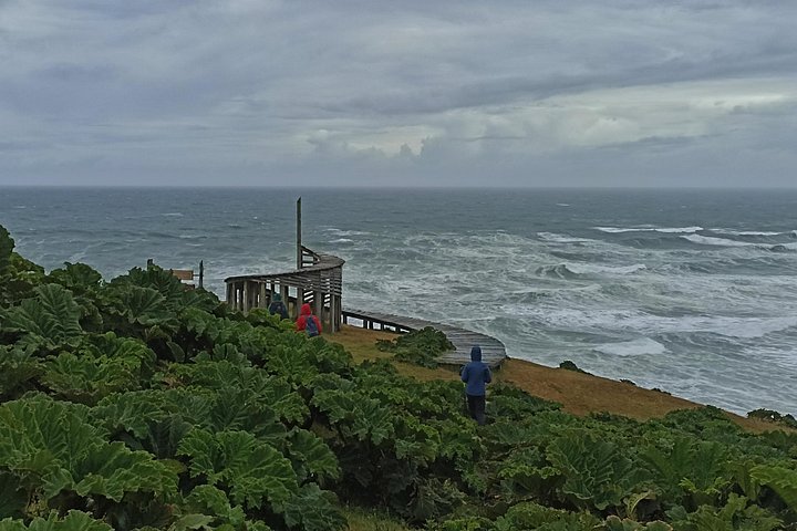 Private Activity Hiking, Time Wharf - Tricolor.