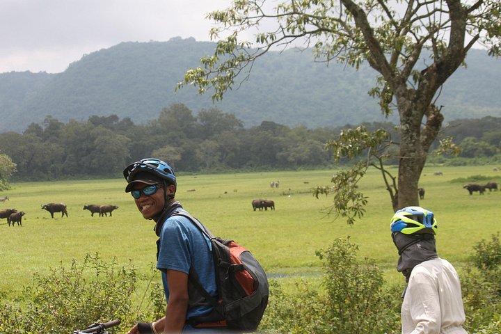 4 Days Tanzania Private Safari | Serengeti , Ngorongoro & Tarangire Safari