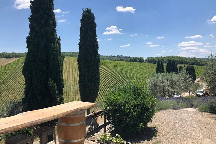 Visit Of The Chianti Classico And The Tuscan Countryside