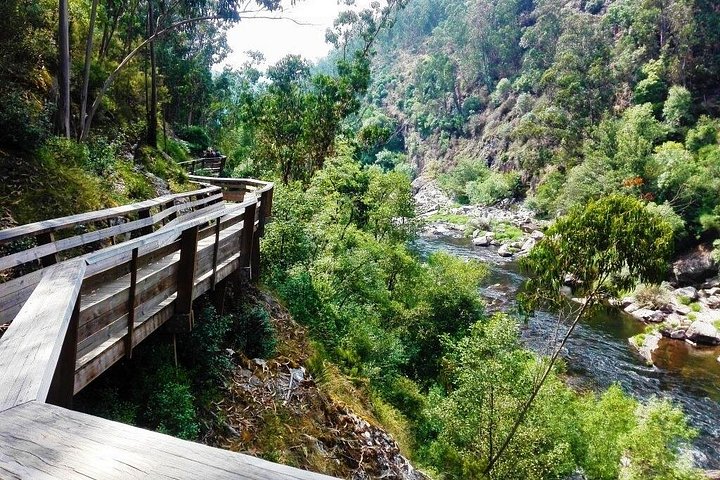 Walkways of the Paiva River and 516 Arouca bridge Walking