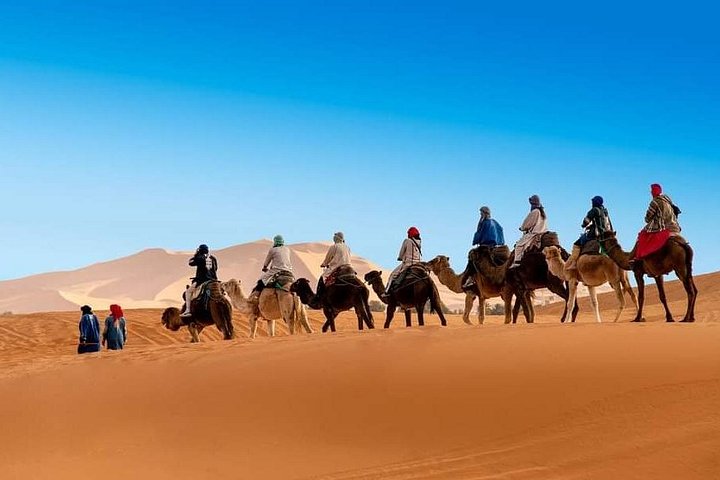 Private 11 Day Tour From Casablanca Imperial Cities Sahara Desert