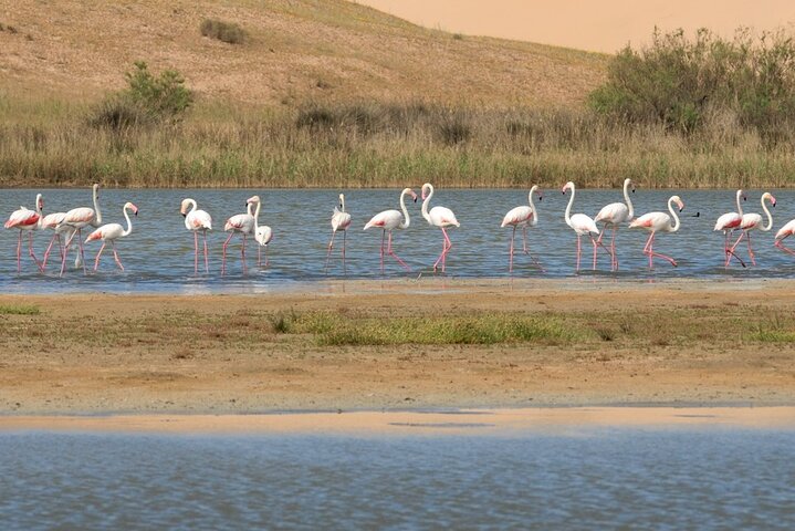 Private Tour to Souss Massa National Park