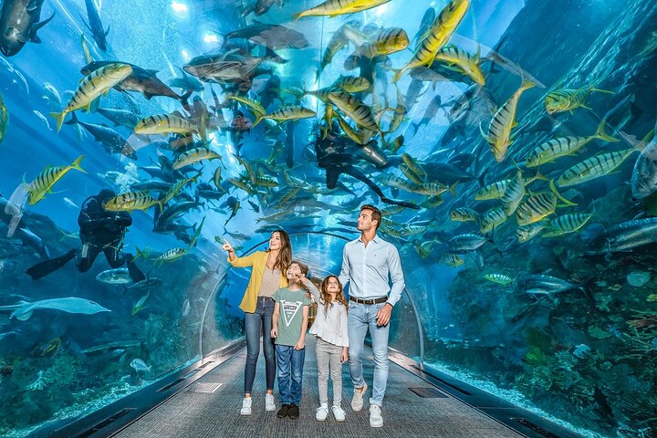 Dubai Mall Aquarium &Underwater Zoo Ticket's With Transfer