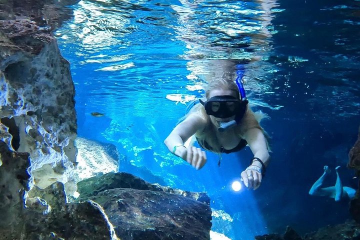 Playa Del Carmen Private Snorkeling Tour Cenotes And YalKu Lagoon