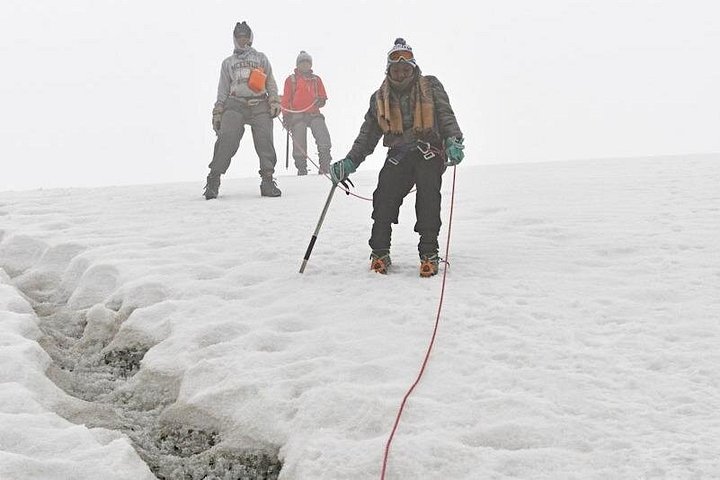 Gorilla & Rwenzori Expedition in Uganda - 15 days