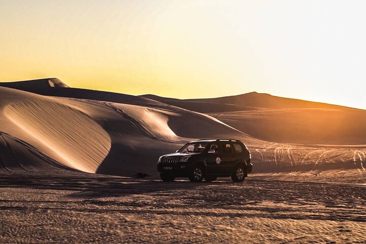 Half-Day Sand Dune Safaris in Cape Town