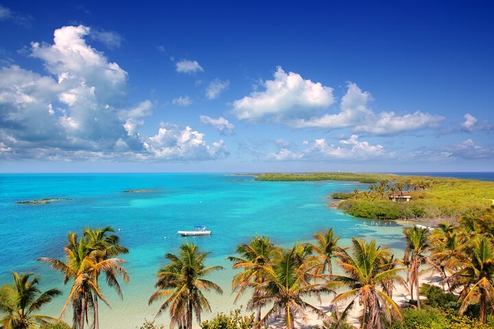 Full Day Nature Expedition to Contoy Island & Isla Mujeres Cancun