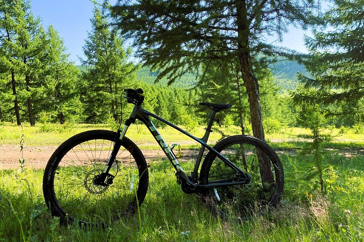 Mountain Bike (MTB) Rental
