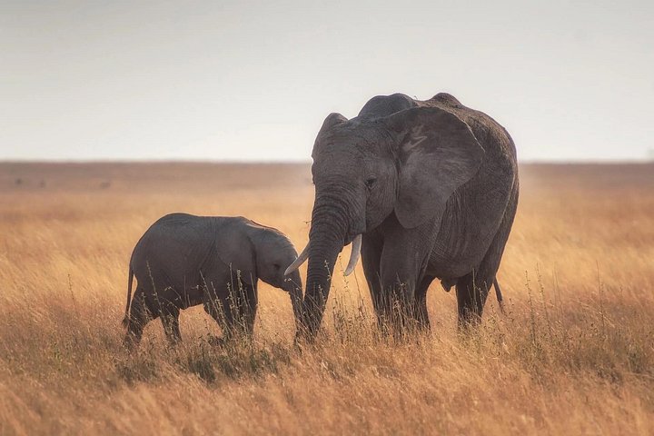 3-Day Northern circuit Safari